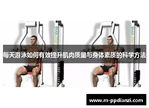 每天游泳如何有效提升肌肉质量与身体素质的科学方法