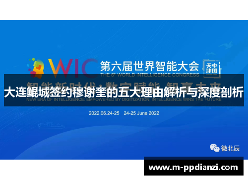 大连鲲城签约穆谢奎的五大理由解析与深度剖析