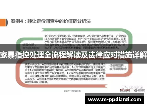 家暴指控处理全流程解读及法律应对措施详解