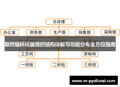 斯坦福桥所属组织结构详解与功能分布全方位指南